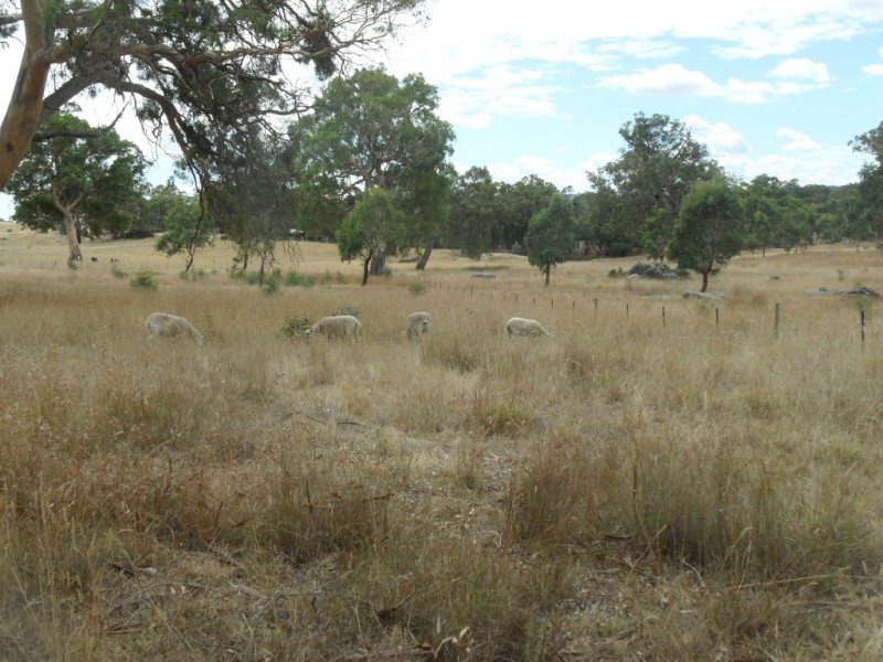 Lot 6 (847) Trial Hill Road, Pewsey Vale SA 5351