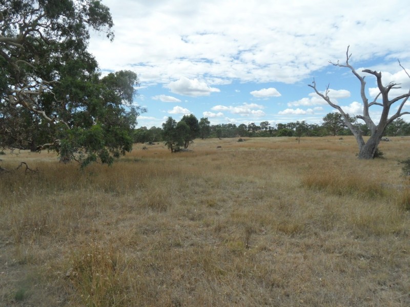 Lot 6 (847) Trial Hill Road, Pewsey Vale SA 5351