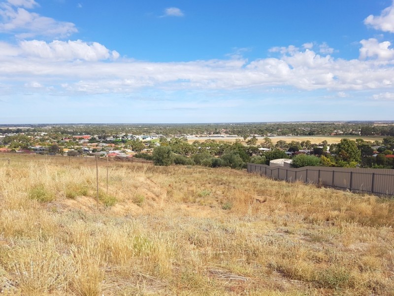 10 Hayward Drive, Evanston Park SA 5116