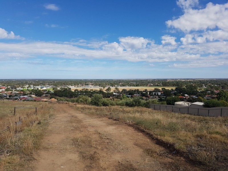 10 Hayward Drive, Evanston Park SA 5116