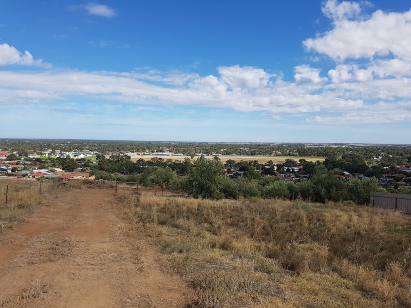 10 Hayward Drive, Evanston Park SA 5116