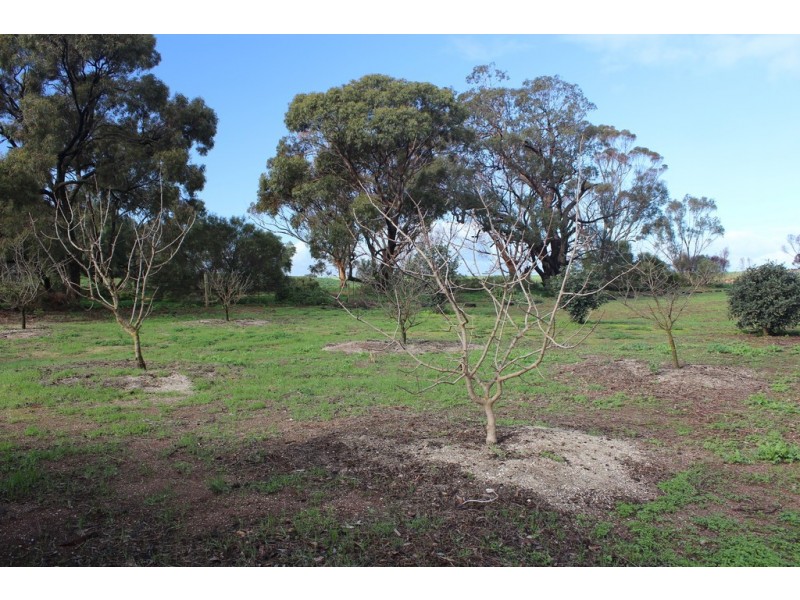 186 Cnr Mackereth and Ashwell Roads, Templers SA 5371