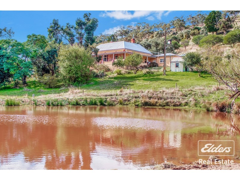 36 Springton Road, Williamstown SA 5351