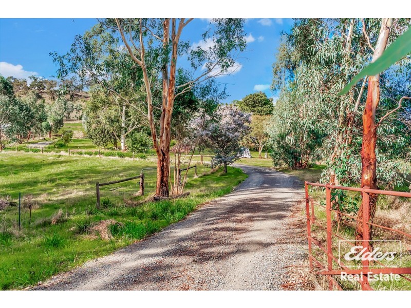 36 Springton Road, Williamstown SA 5351