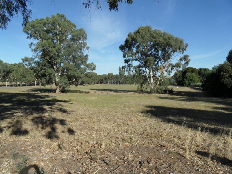 Lot 20 Goldfields Road, Cockatoo Valley SA 5351