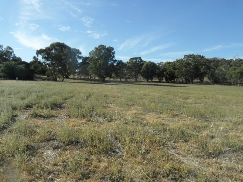 Lot 20 Goldfields Road, Cockatoo Valley SA 5351