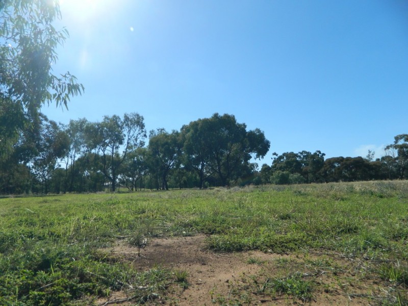 Lot 301 Cliff Road, Roseworthy SA 5371