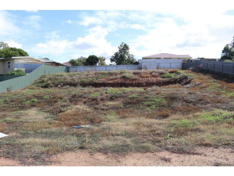 Allotment 121 Paxton Street, Willaston SA 5118