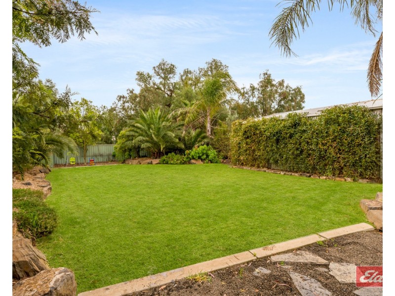 49-51 Annie Terrace, Wasleys SA 5400