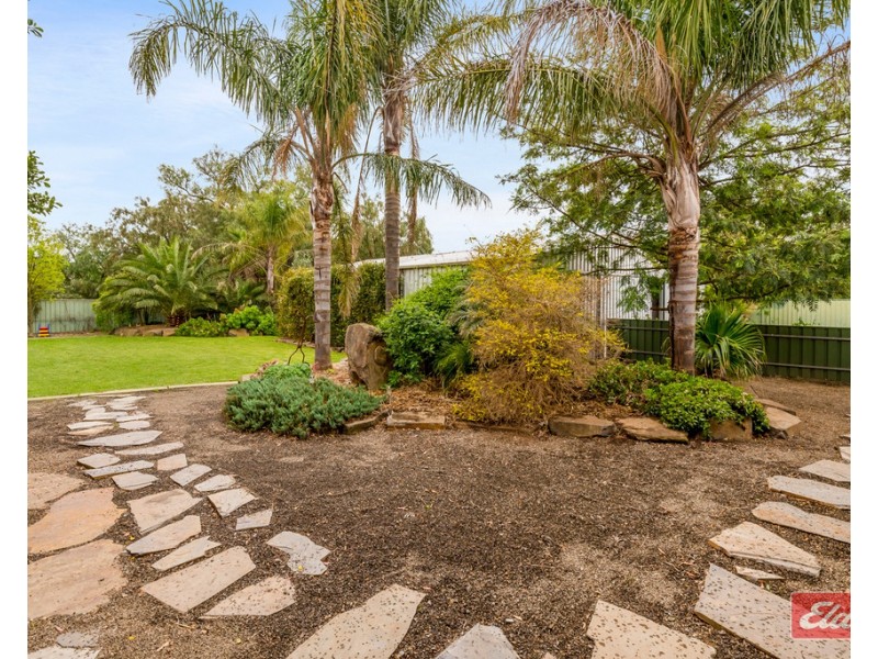 49-51 Annie Terrace, Wasleys SA 5400