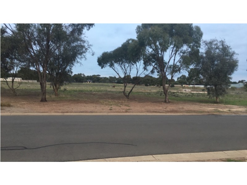 Lot 4, 60 Fiddlewood Drive, Freeling SA 5372