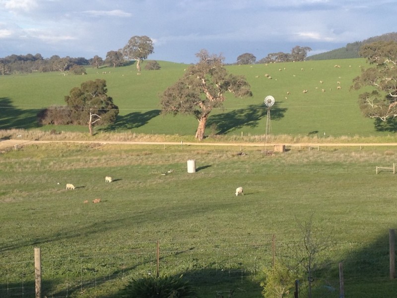 21 Holland Drive, Williamstown SA 5351