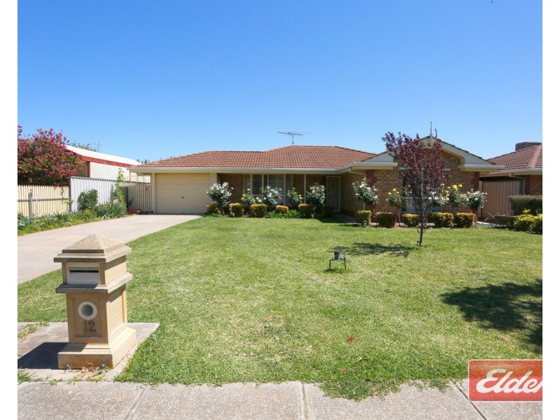 12 Baldock Street, Evanston Park SA 5116