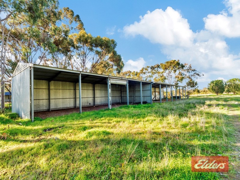 73 Winzor Road, Hillier SA 5116