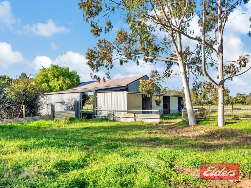 73 Winzor Road, Hillier SA 5116