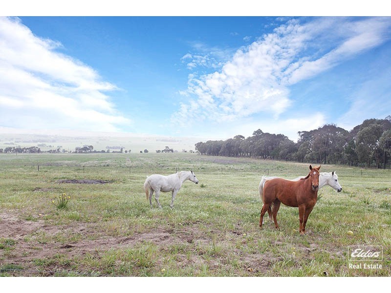 205C Bald Road, Roseworthy SA 5371