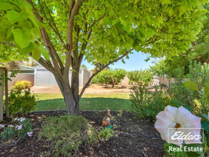 1 Samuel Stephens Court, Lyndoch SA 5351