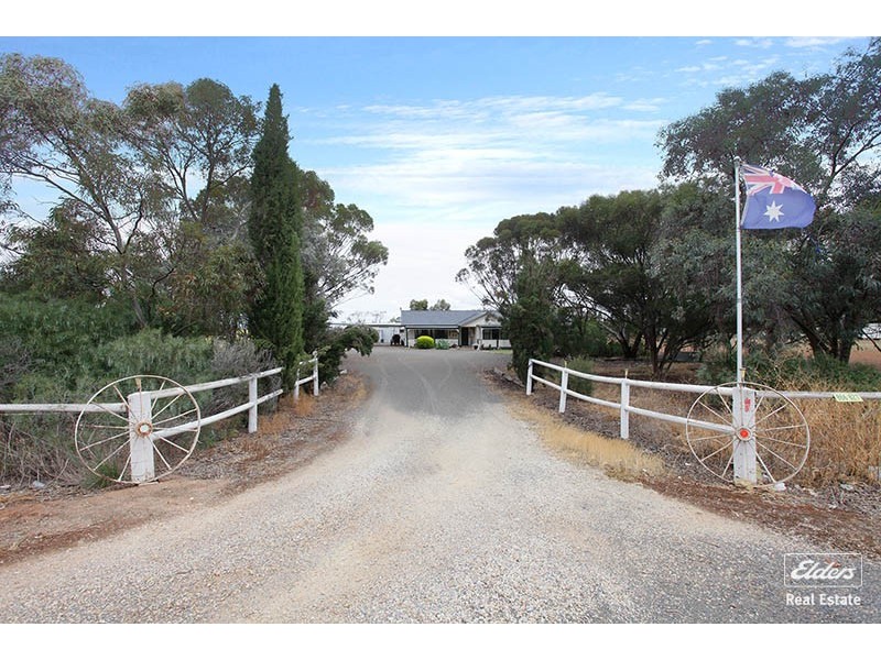 806 Mudla Wirra Road, Wasleys SA 5400