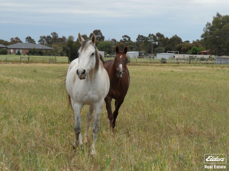 806 Mudla Wirra Road, Wasleys SA 5400