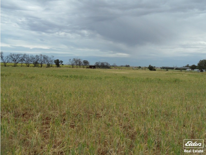 806 Mudla Wirra Road, Wasleys SA 5400