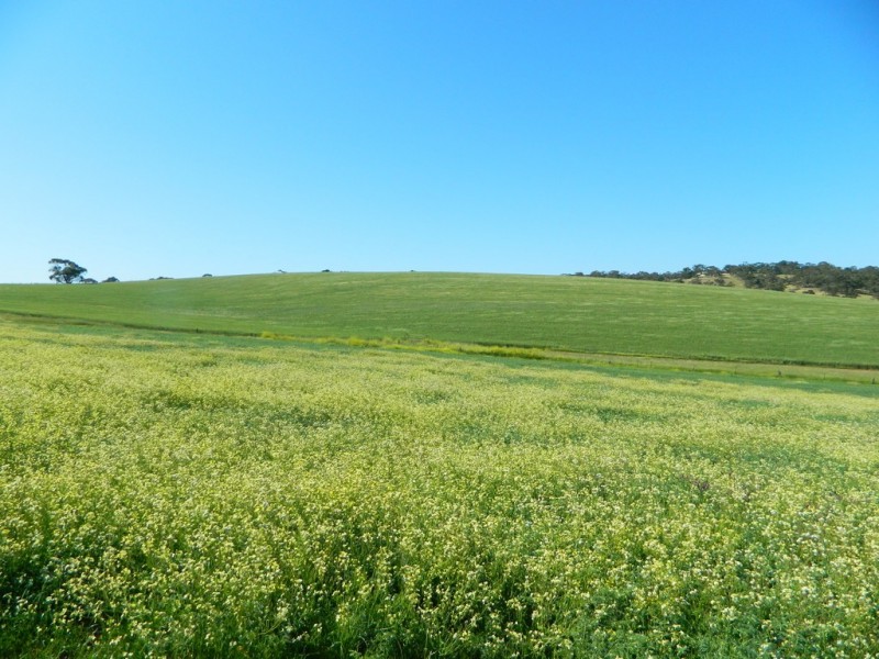 Allotment 4 Gawler – One Tree Hill Road, Bibaringa SA 5118