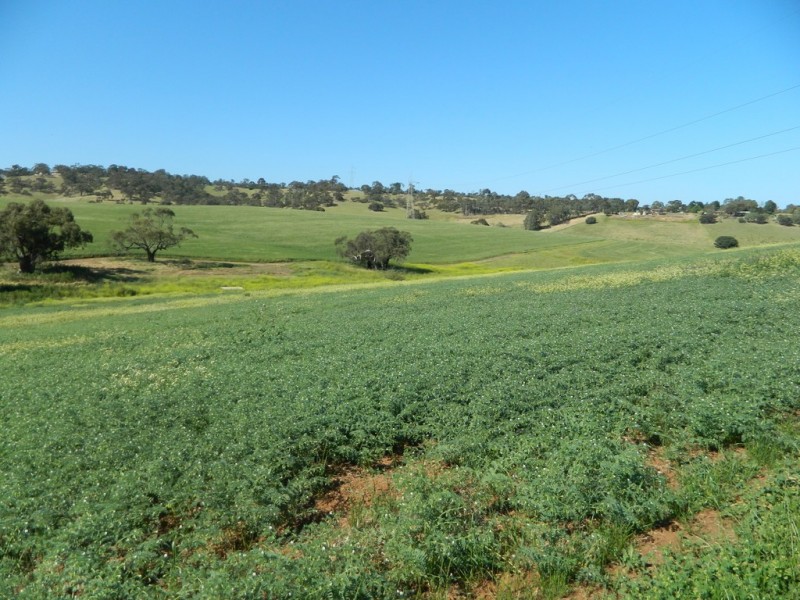 Allotment 4 Gawler – One Tree Hill Road, Bibaringa SA 5118