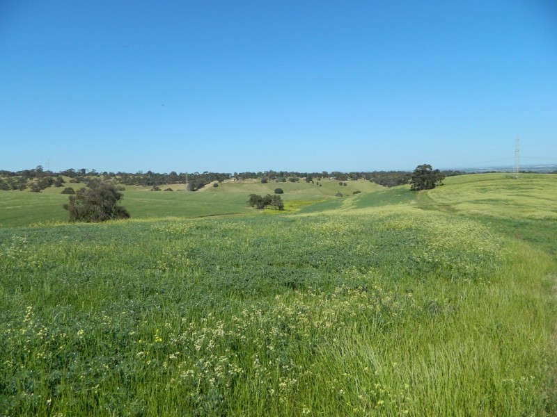 Allotment 4 Gawler – One Tree Hill Road, Bibaringa SA 5118