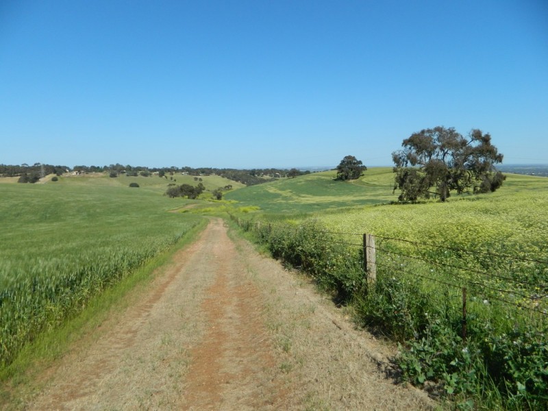 Allotment 4 Gawler – One Tree Hill Road, Bibaringa SA 5118