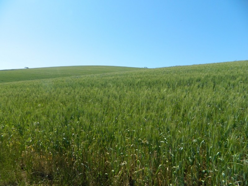 Allotment 4 Gawler – One Tree Hill Road, Bibaringa SA 5118