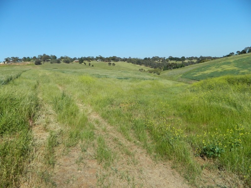 Allotment 4 Gawler – One Tree Hill Road, Bibaringa SA 5118