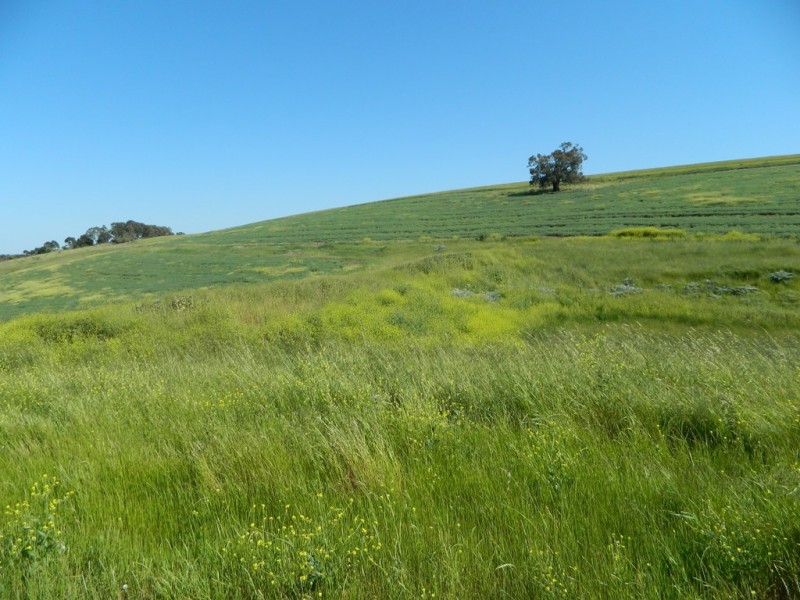 Allotment 4 Gawler – One Tree Hill Road, Bibaringa SA 5118