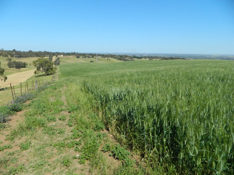 Allotment 4 Gawler – One Tree Hill Road, Bibaringa SA 5118