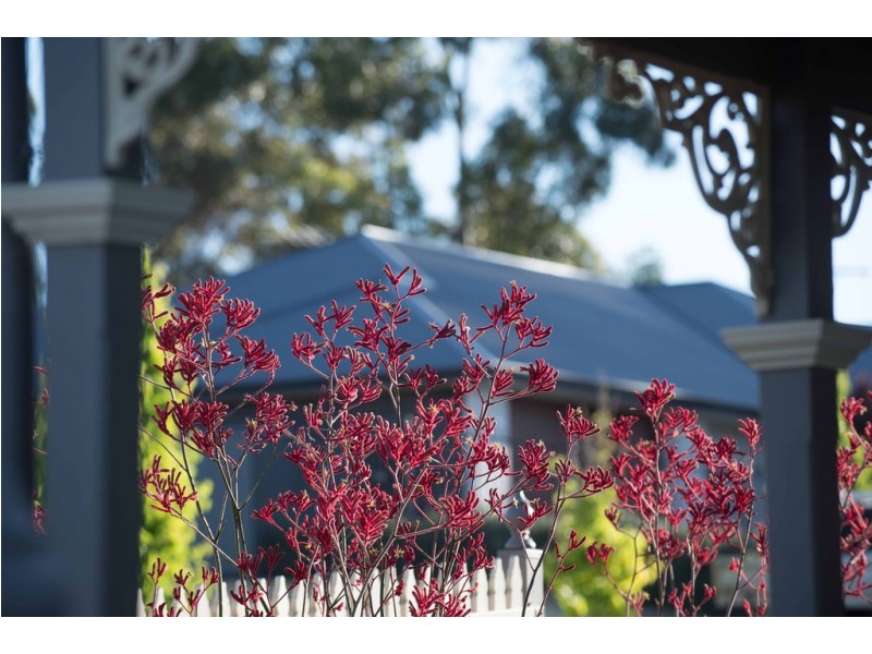 Lot 85 Leicester Close, Gawler South SA 5118