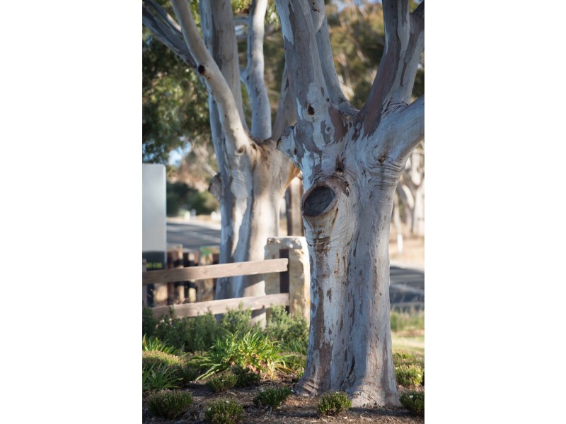 Lot 85 Leicester Close, Gawler South SA 5118