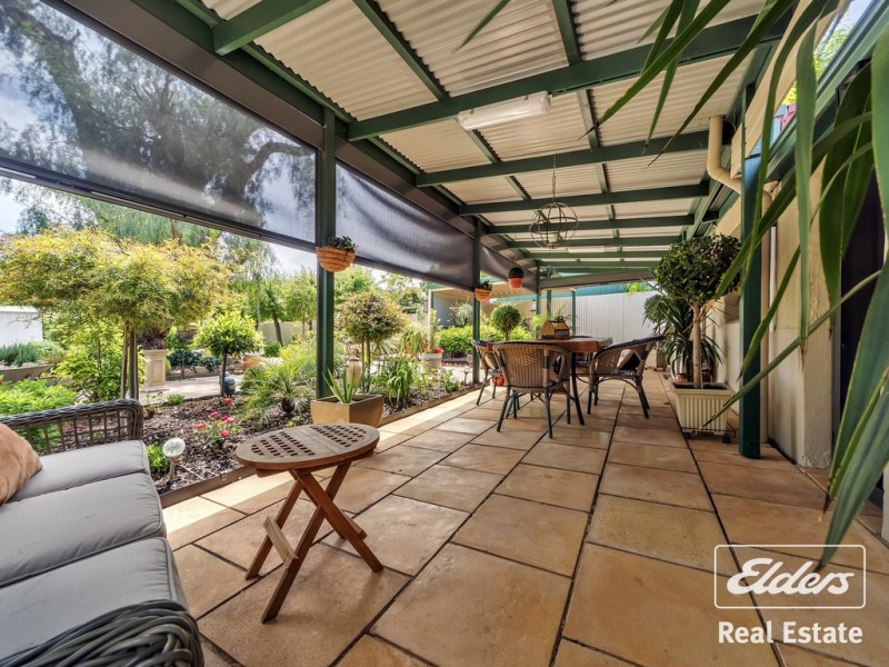 41 Finniss Street, Gawler SA 5118