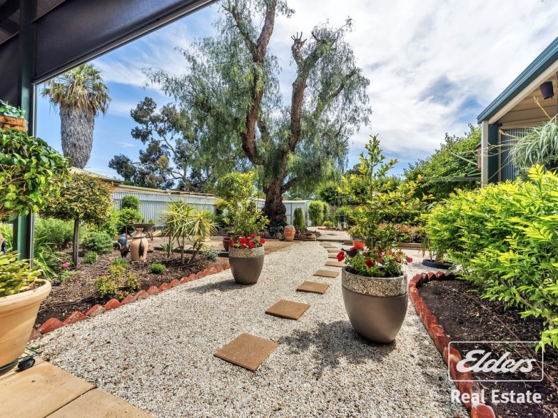 41 Finniss Street, Gawler SA 5118