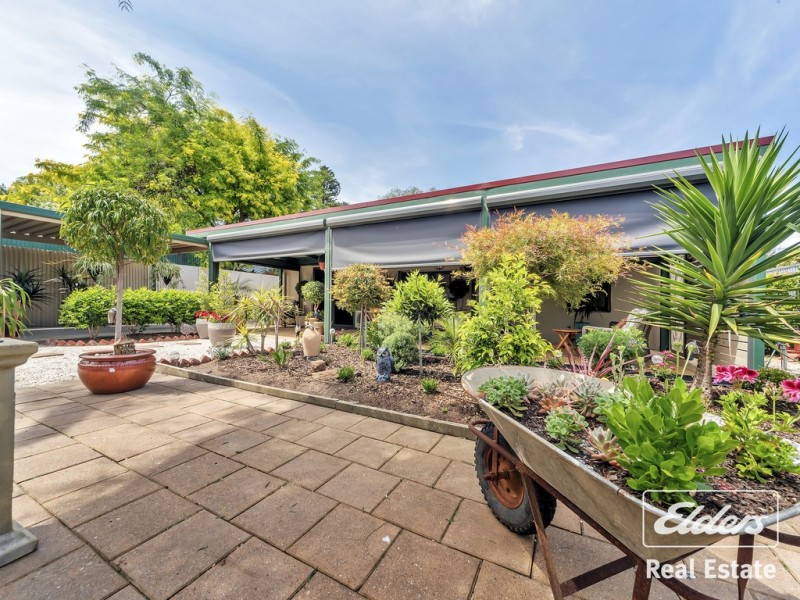 41 Finniss Street, Gawler SA 5118