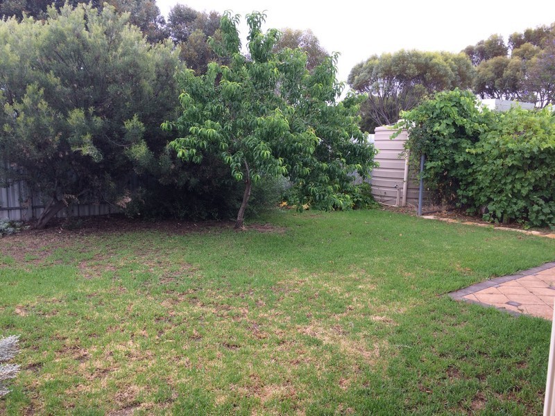 26 Robinson Road, Willaston SA 5118