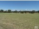 Lot 31 Clancy Road, Gawler Belt SA 5118