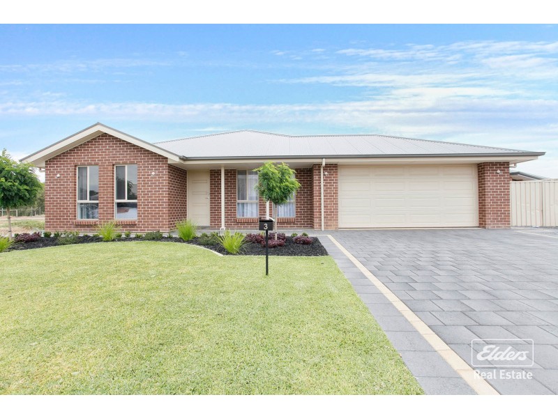 3 Lawes Terrace, Reid SA 5118