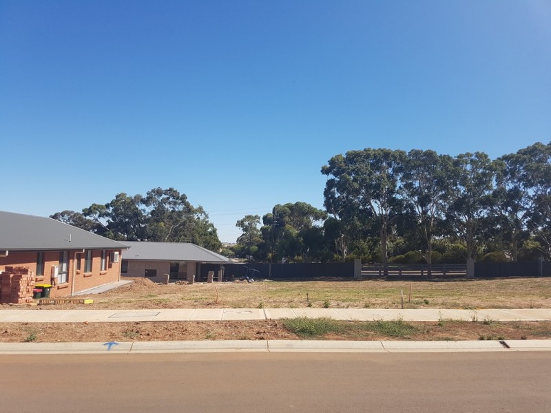 Lot 494 Hartley Walk (Springwood), Gawler East SA 5118