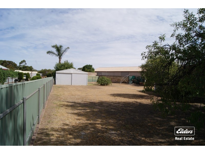 11 Paxton Street, Willaston SA 5118