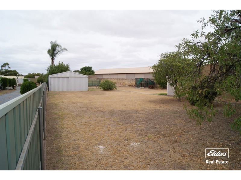 11 Paxton Street, Willaston SA 5118