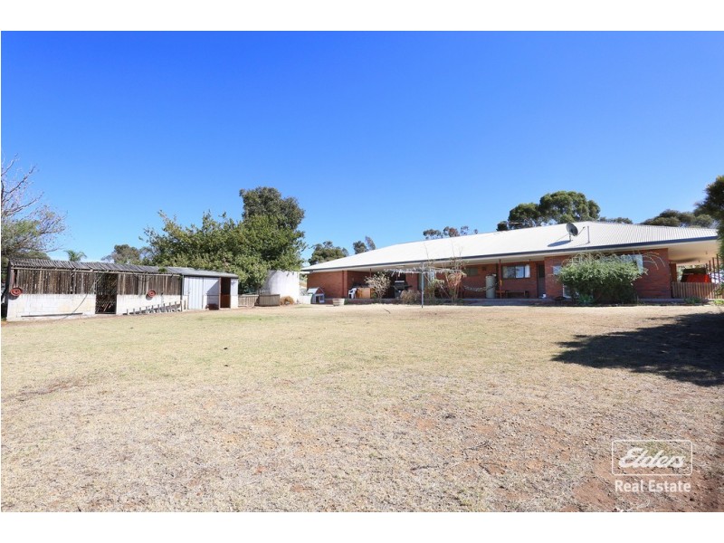 43 King Street, Lyndoch SA 5351