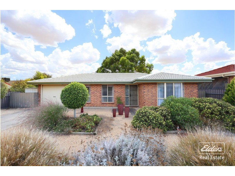 55 Haines Road, Willaston SA 5118