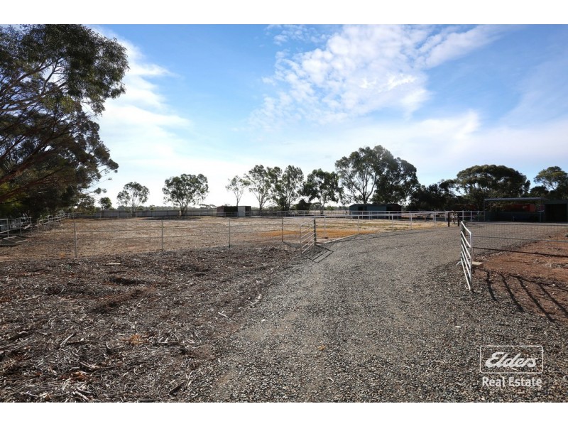 7 Aunger Road, Lewiston SA 5501