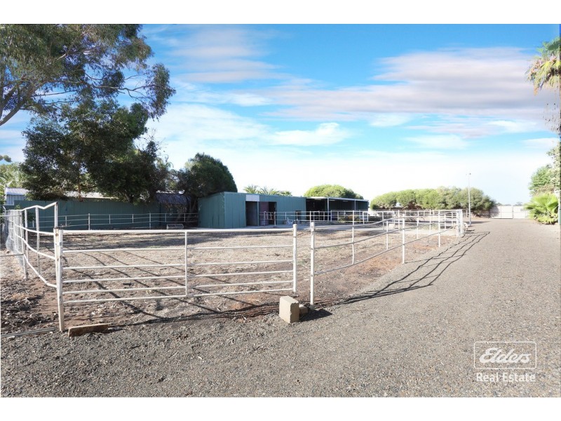 7 Aunger Road, Lewiston SA 5501