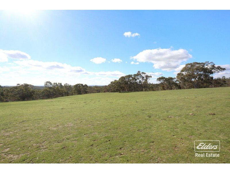 532 Para Wirra Road, Barossa Goldfields SA 5351