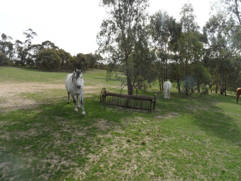 532 Para Wirra Road, Barossa Goldfields SA 5351