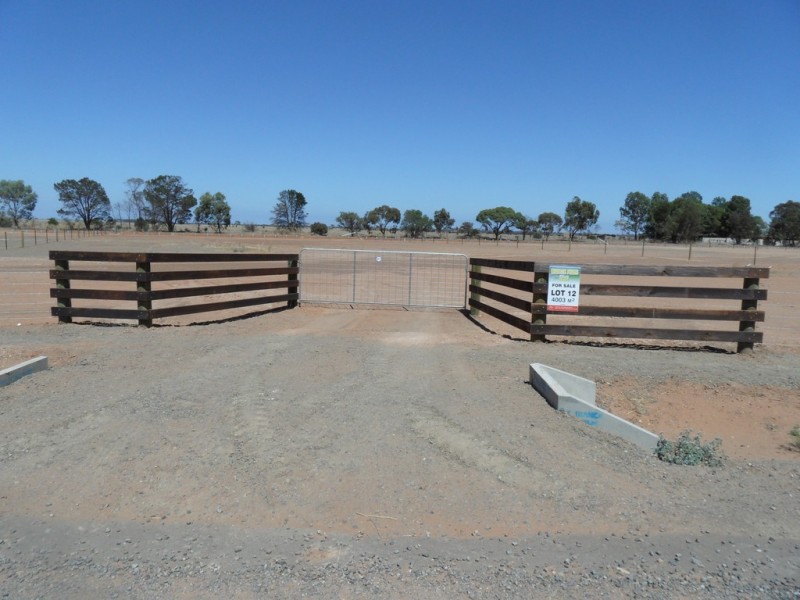 Lot 12 Norris Road, Wasleys SA 5400